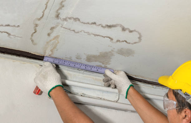 Reliable Water Damage contractor in Seekonk, MA by Water Damage Irwin